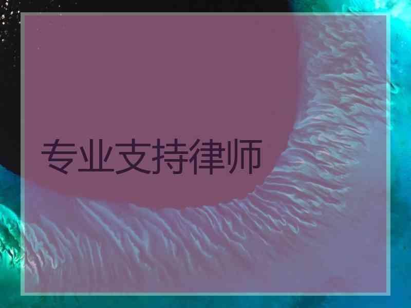 专业支持律师