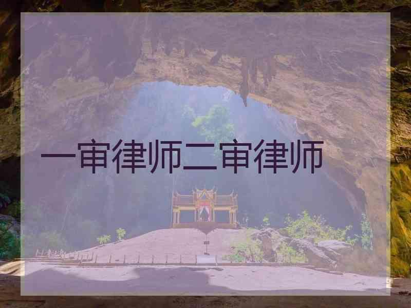 一审律师二审律师