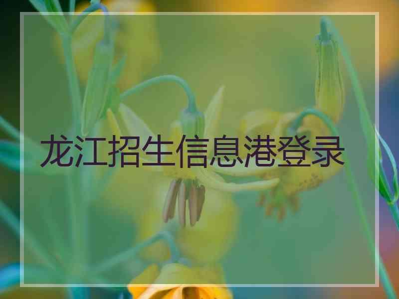 龙江招生信息港登录