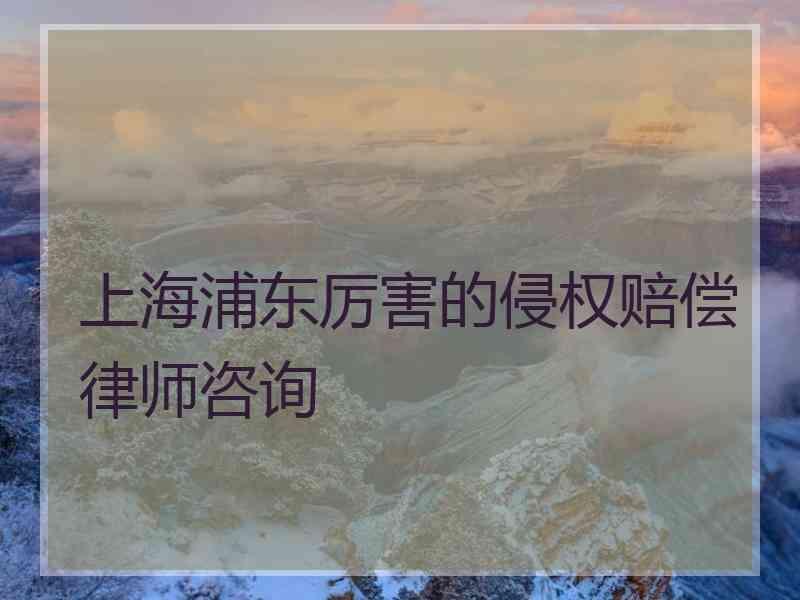 上海浦东厉害的侵权赔偿律师咨询