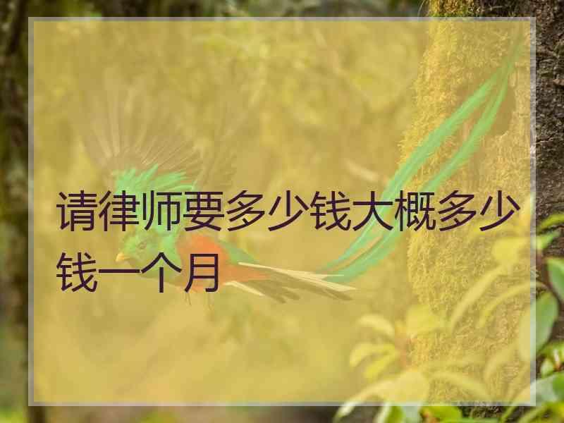 请律师要多少钱大概多少钱一个月