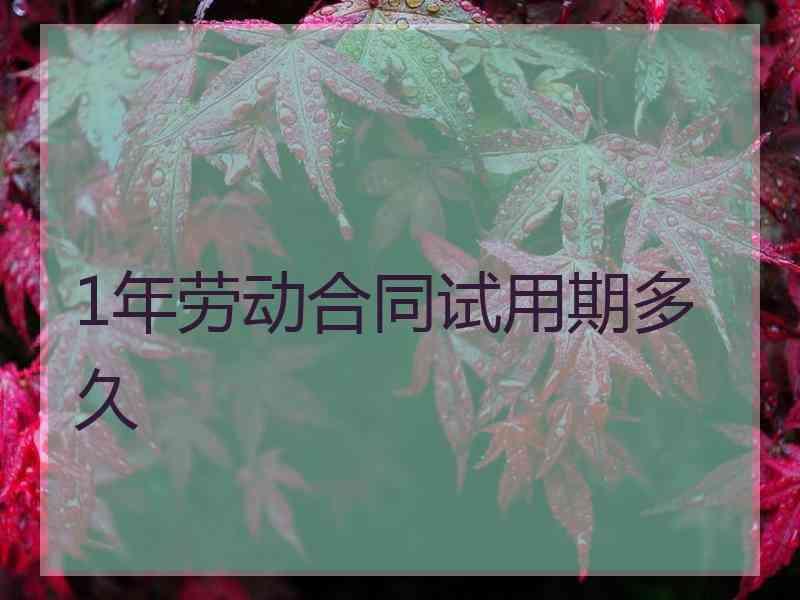 1年劳动合同试用期多久