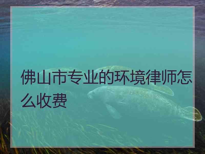 佛山市专业的环境律师怎么收费