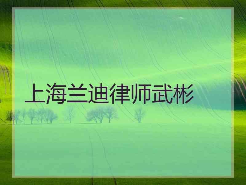 上海兰迪律师武彬