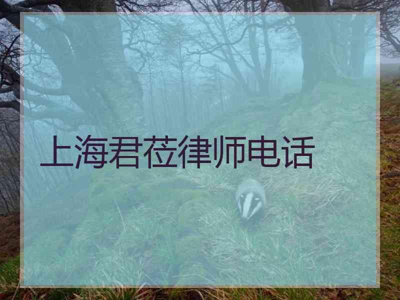 上海君莅律师电话