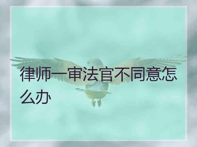 律师一审法官不同意怎么办