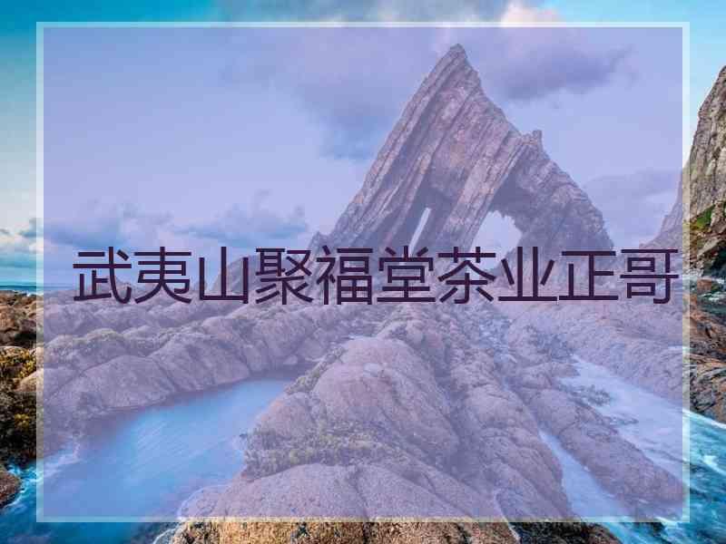 银泰花园a幢3梯405室武夷山博韵堂茶业有限公司武夷山聚福堂茶业总监