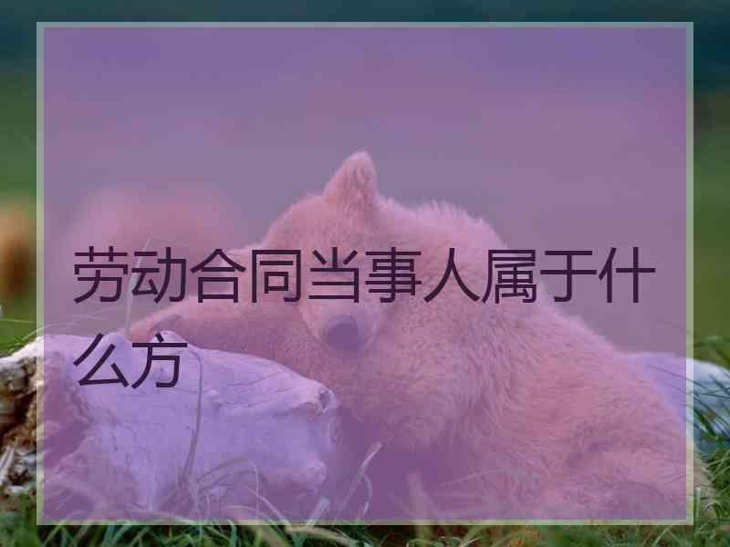 劳动合同当事人属于什么方