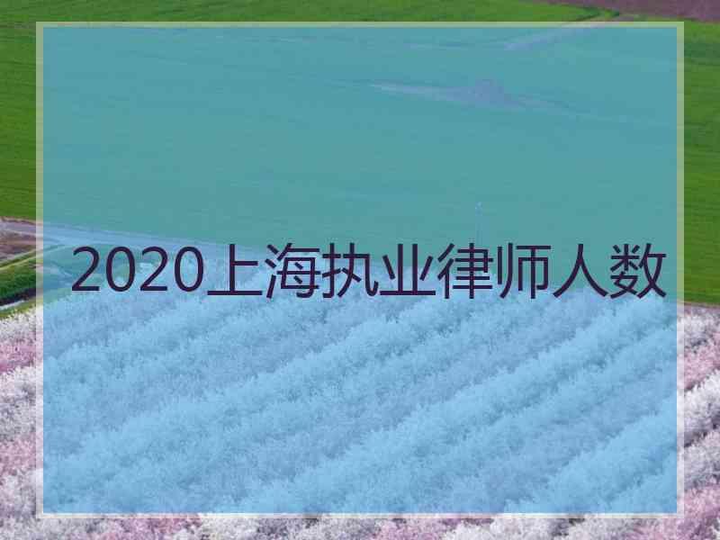 2020上海执业律师人数