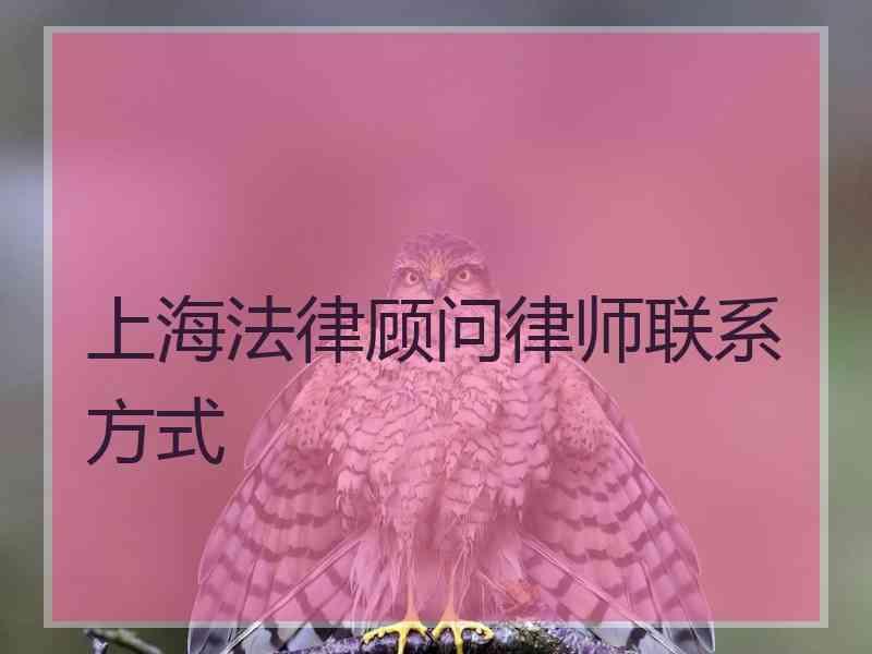 上海法律顾问律师联系方式