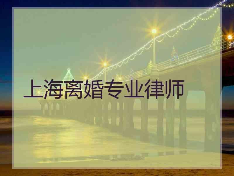 上海离婚专业律师