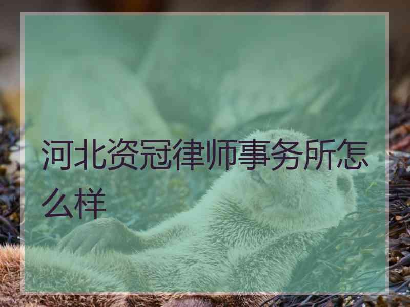 河北资冠律师事务所怎么样