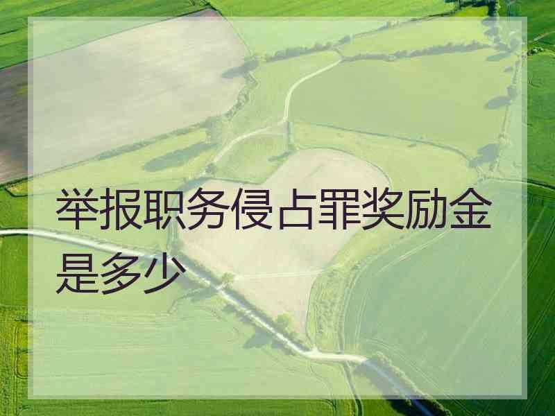 举报职务侵占罪奖励金是多少