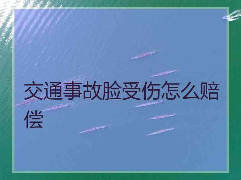 交通事故脸受伤怎么赔偿