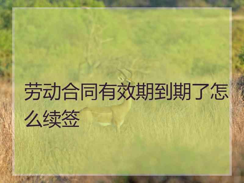 劳动合同有效期到期了怎么续签