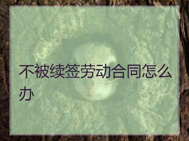不被续签劳动合同怎么办