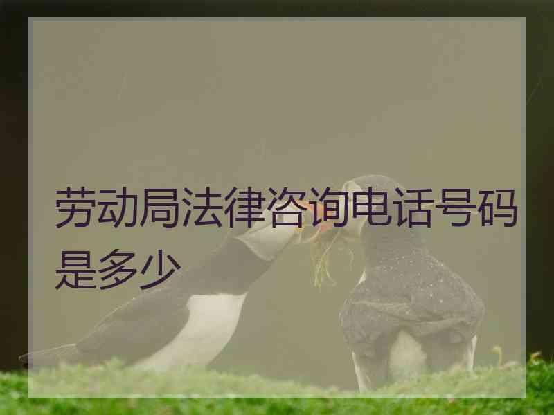 劳动局法律咨询电话号码是多少