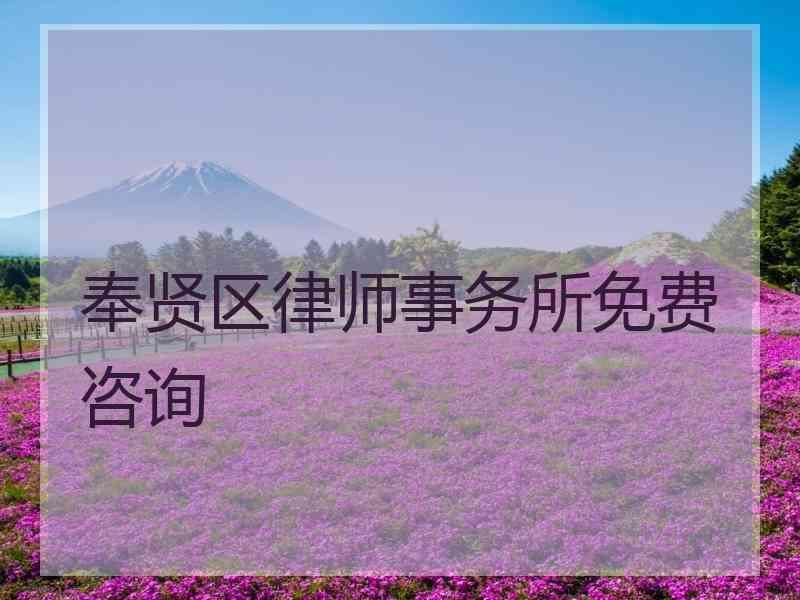 奉贤区律师事务所免费咨询