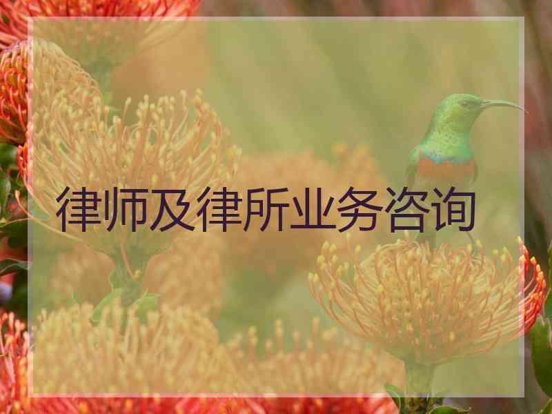 律师及律所业务咨询