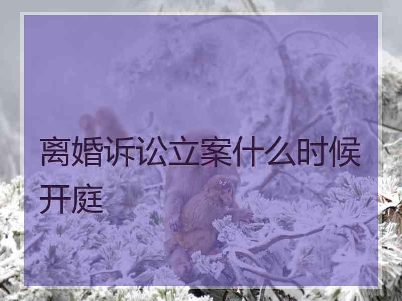 离婚诉讼立案什么时候开庭