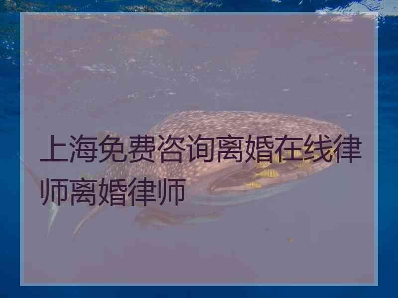 上海免费咨询离婚在线律师离婚律师