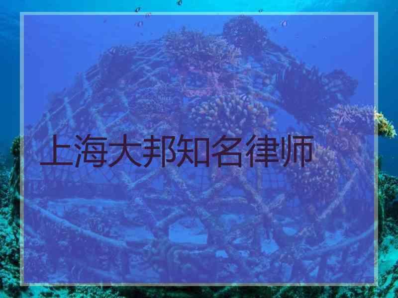 上海大邦知名律师