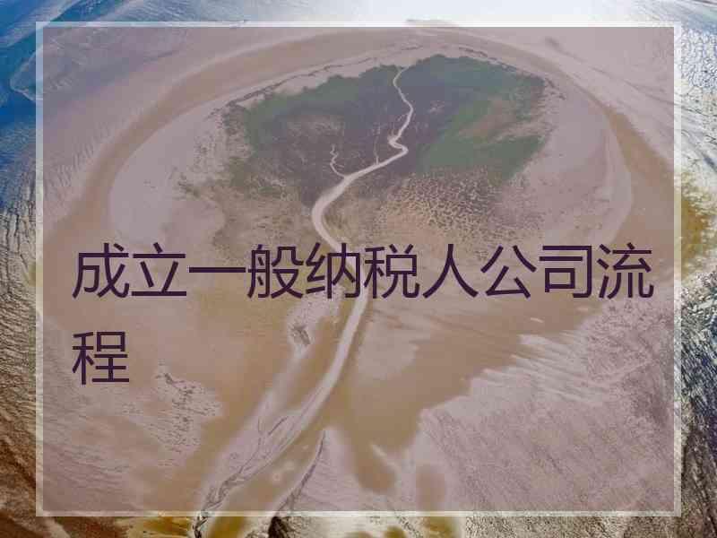 成立一般纳税人公司流程