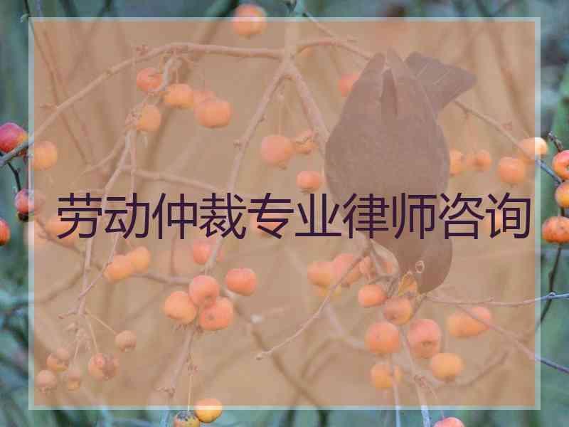 劳动仲裁专业律师咨询
