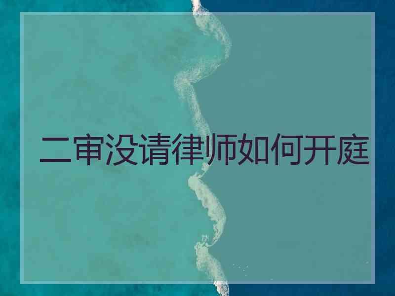 二审没请律师如何开庭