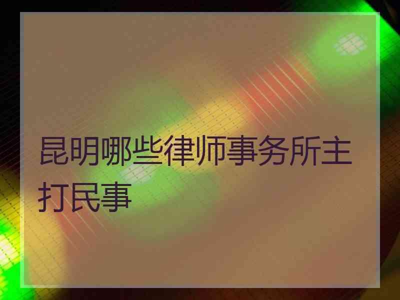 昆明哪些律师事务所主打民事