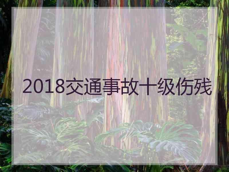 2018交通事故十级伤残