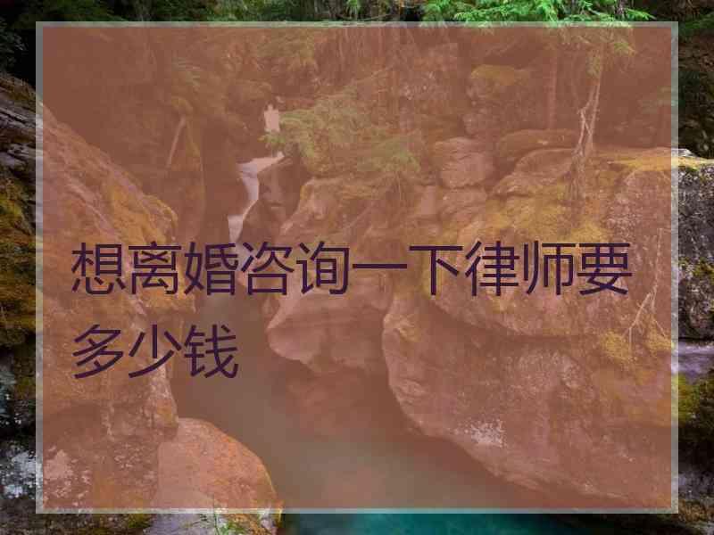 想离婚咨询一下律师要多少钱