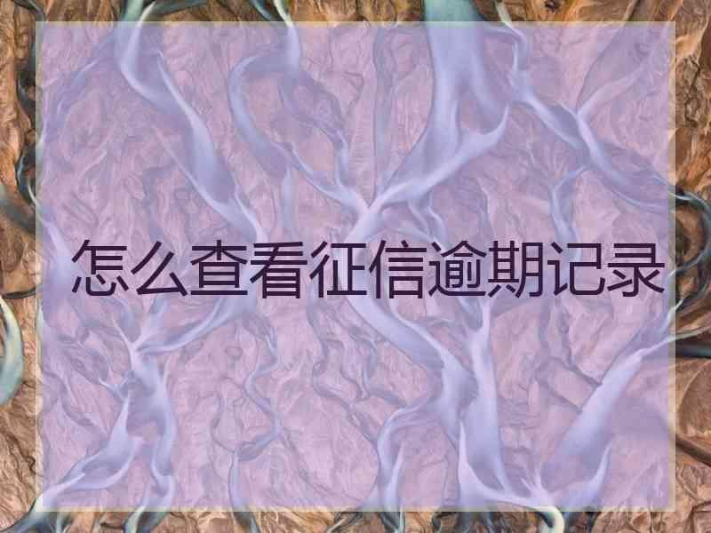 怎么查看征信逾期记录