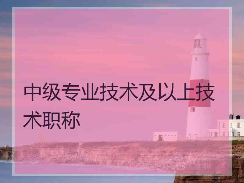 中级专业技术及以上技术职称