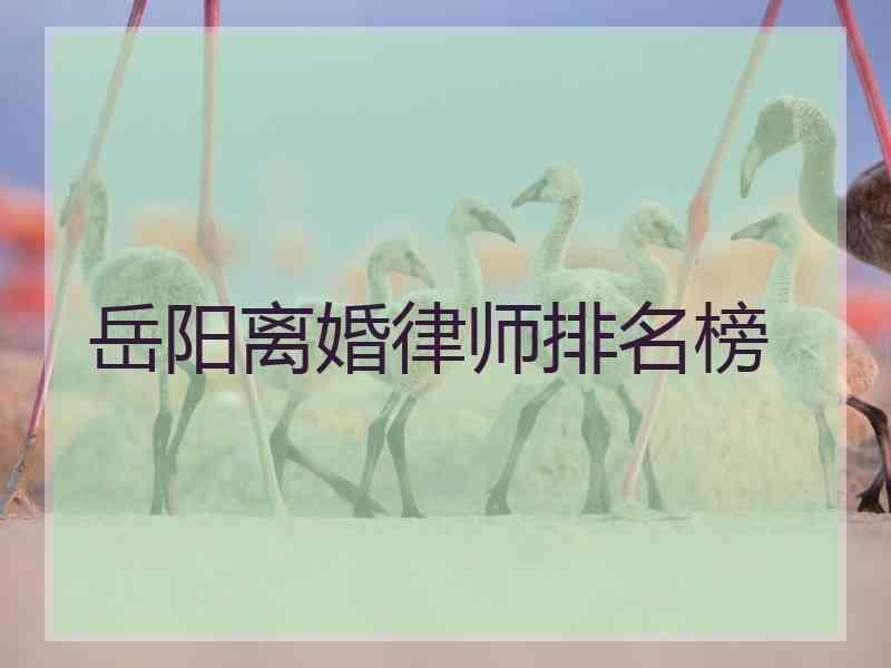 岳阳离婚律师排名榜