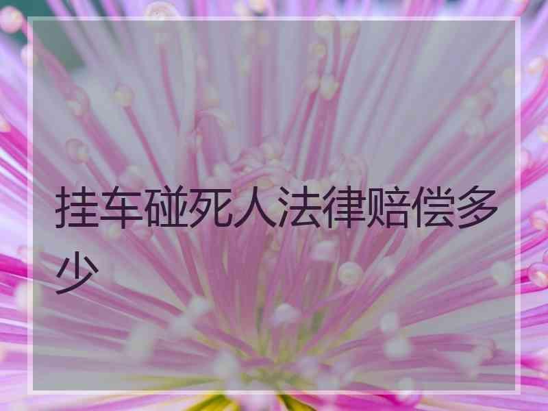 挂车碰死人法律赔偿多少