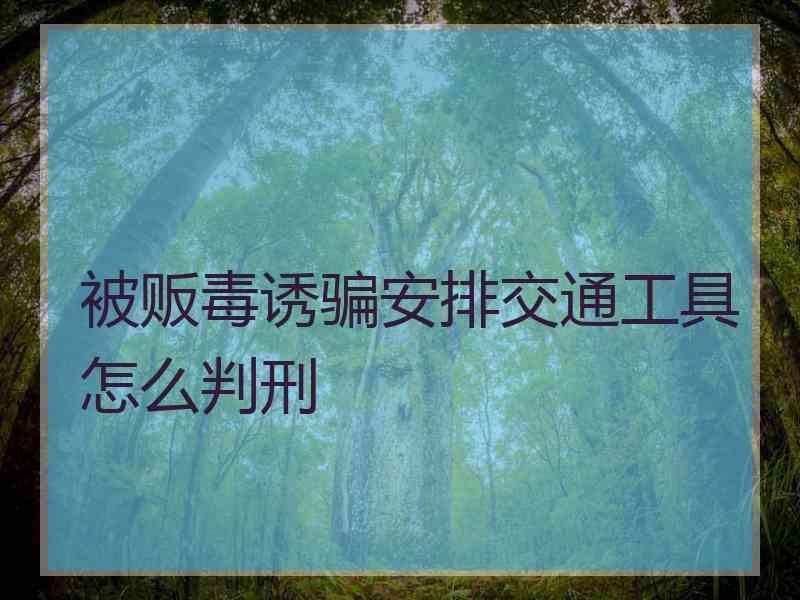 被贩毒诱骗安排交通工具怎么判刑