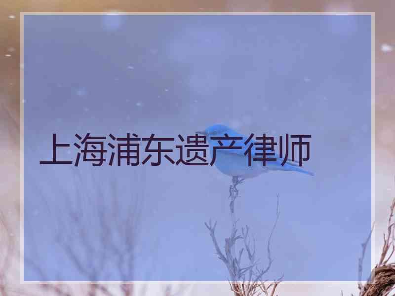 上海浦东遗产律师