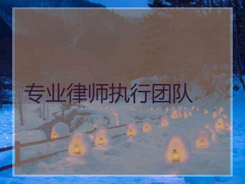 专业律师执行团队