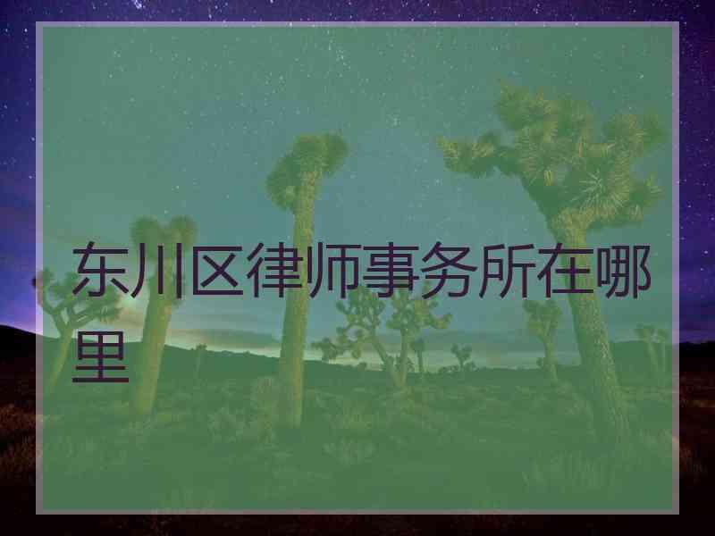 东川区律师事务所在哪里