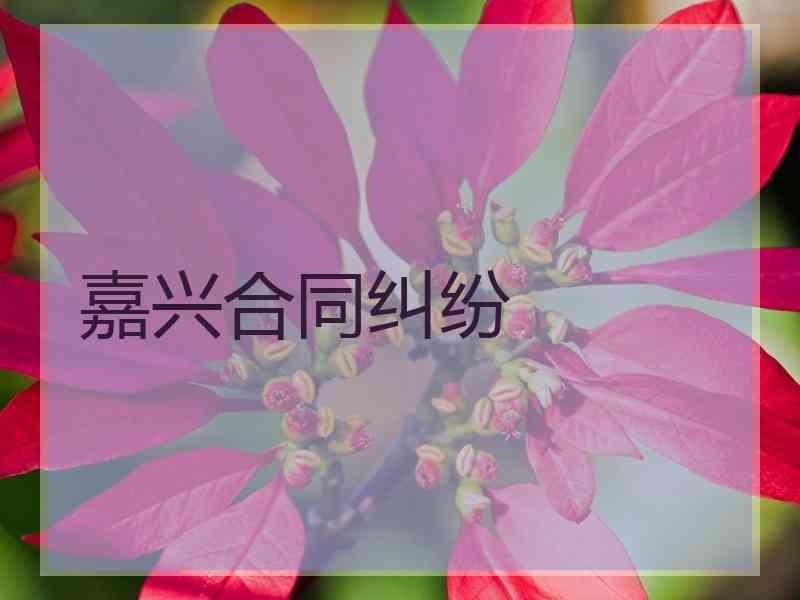 嘉兴合同纠纷