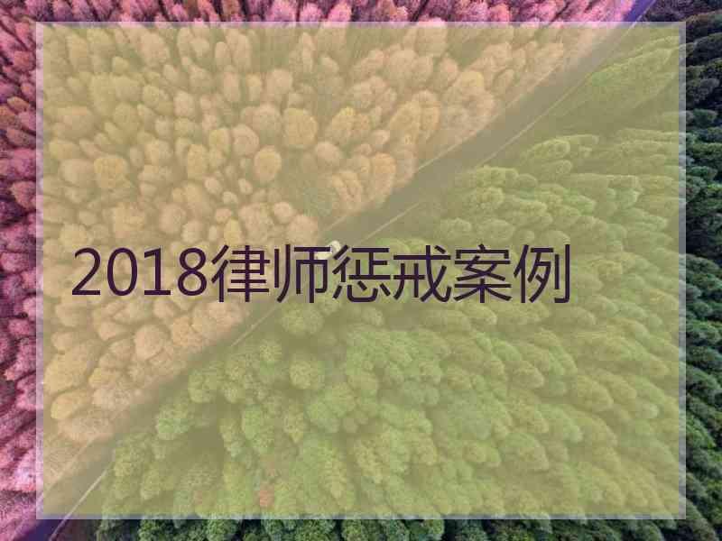 2018律师惩戒案例