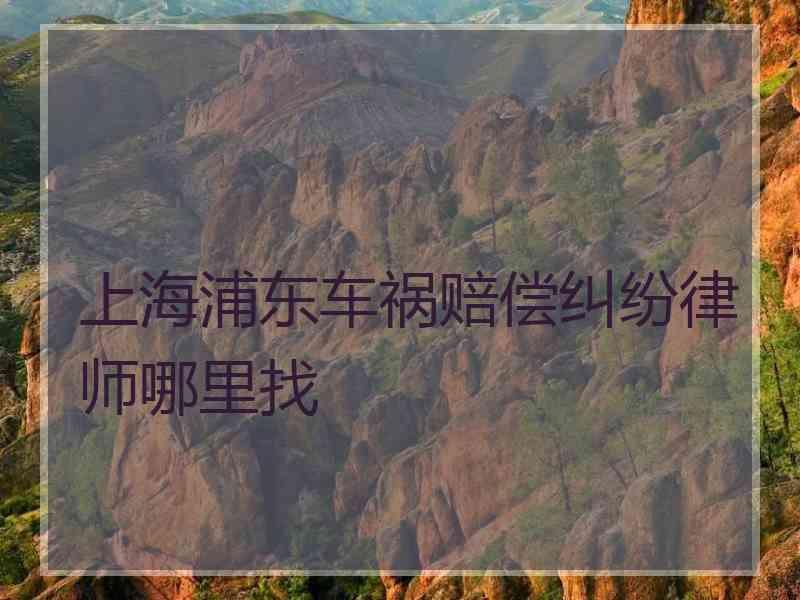 上海浦东车祸赔偿纠纷律师哪里找