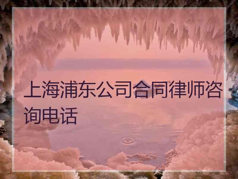 上海浦东公司合同律师咨询电话