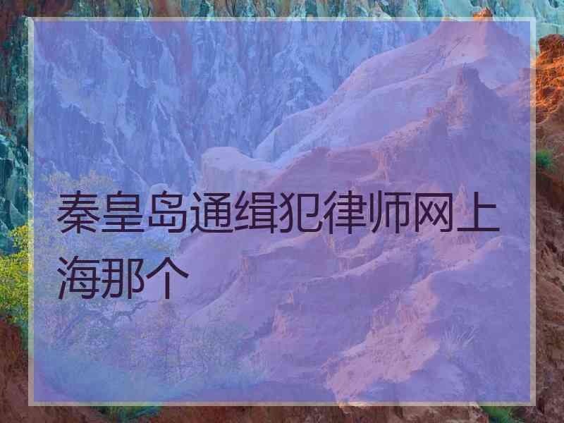 秦皇岛通缉犯律师网上海那个