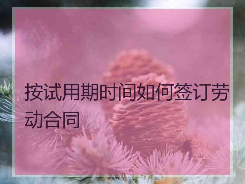 按试用期时间如何签订劳动合同