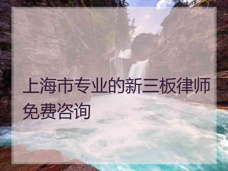 上海市专业的新三板律师免费咨询