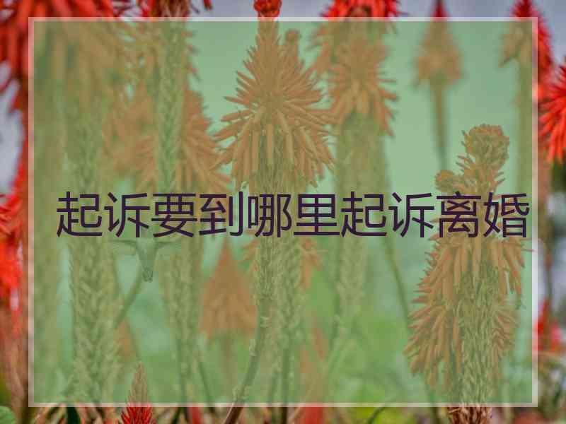 起诉要到哪里起诉离婚