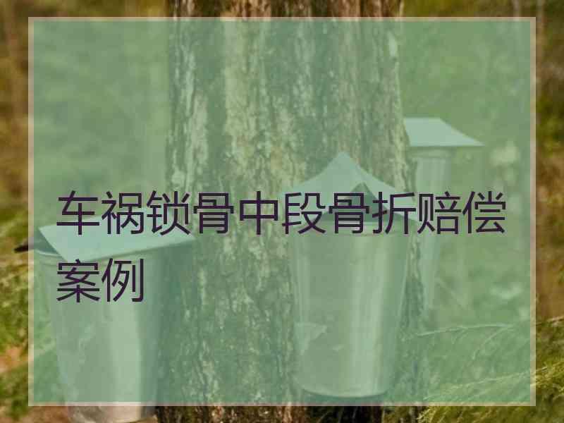 车祸锁骨中段骨折赔偿案例