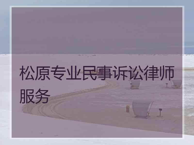 松原专业民事诉讼律师服务 松原专业民事诉讼律师服务